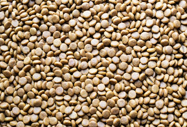 Découvrez comment les suppléments de magnésium soulageaient les symptômes du syndrome prémenstruel